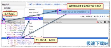掌握電腦軟件 從入門到精通的實用指南